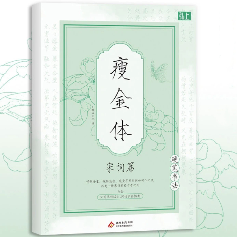Chinese Writing  book Song Hui - đánh giá và giá Chinese Calligraphy Practice Book